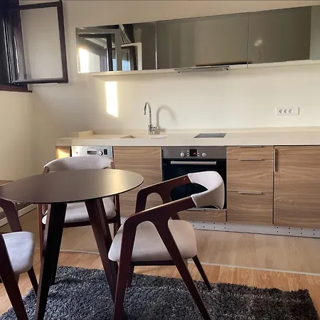 Two Bedroom Student Square * Belgrade